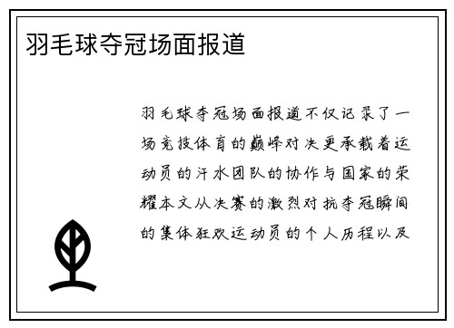 羽毛球夺冠场面报道