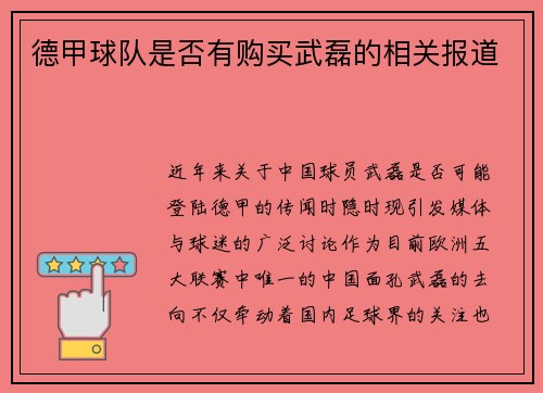 德甲球队是否有购买武磊的相关报道